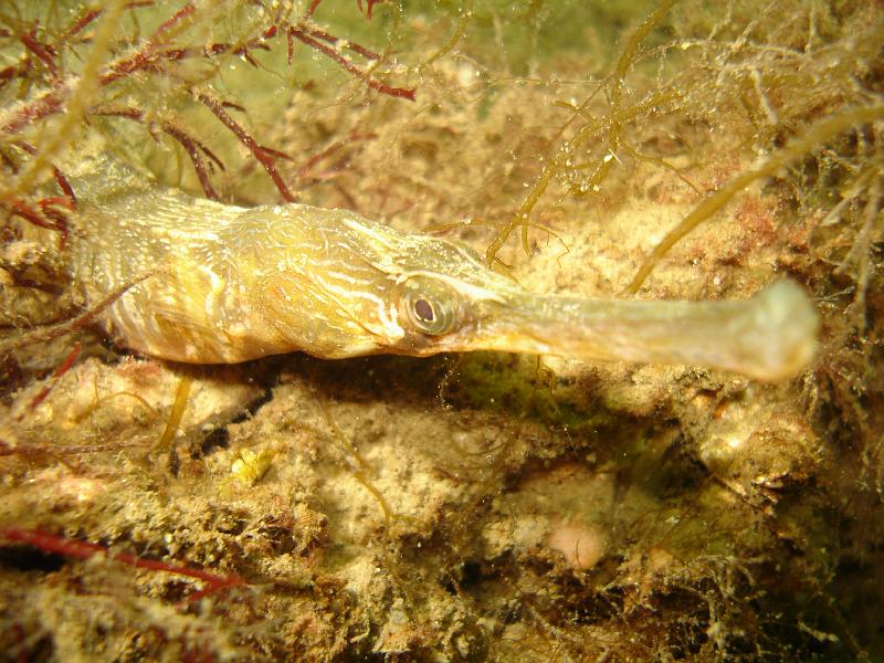2010-05-01 11-34-51 Ludo.JPG